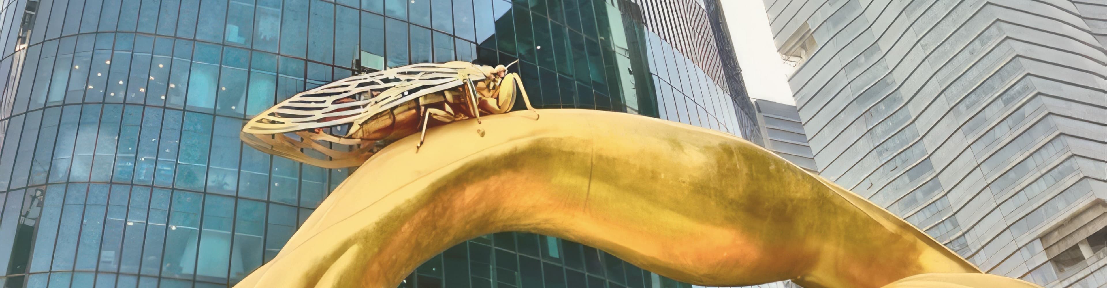 问鼎国际(中国区) - 官方网站